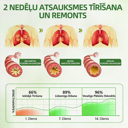 𝐇𝐞𝐚𝐥𝐫𝐢𝐳𝐞® 🔥𝐁𝐨𝐭ā𝐧𝐢𝐬𝐤𝐚𝐢𝐬 𝐝𝐢𝐟𝐮𝐳𝐨𝐫𝐬 𝐩𝐥𝐚𝐮š𝐮 𝐤𝐨𝐩š𝐚𝐧𝐚𝐢 𝐚𝐫 𝐝𝐞𝐯𝐢ņ𝐯ī𝐫𝐮 𝐬𝐩ē𝐤𝐮